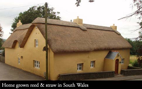 Bonvilstone, South Wales - Thatch coat work and ornate ridging.