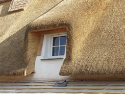 Thatched window detail