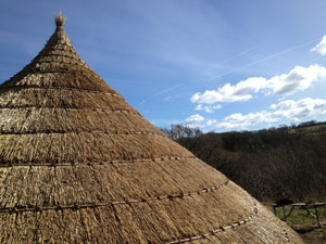 Rick thatching at Castell Henllys