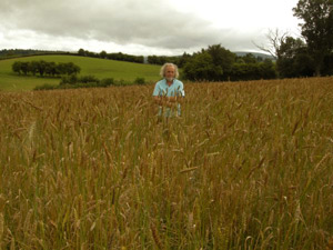 Alan standing in a field of Wheat Reed