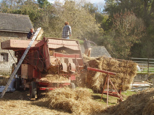Sorting the harvest