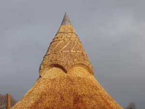 Thatched long house detail