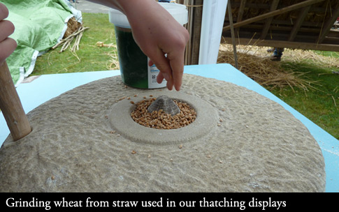 Grinding Wheat from straw used in our displays.
