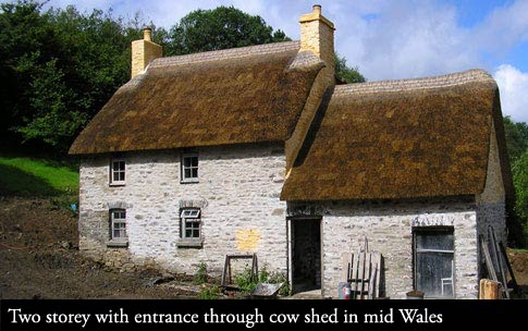 Vernacular thatching methods restoring a Welsh longhouse to its former glory.