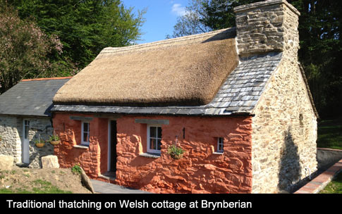 Traditional thatching techniques applied to Welsh Cottage at Brynberian