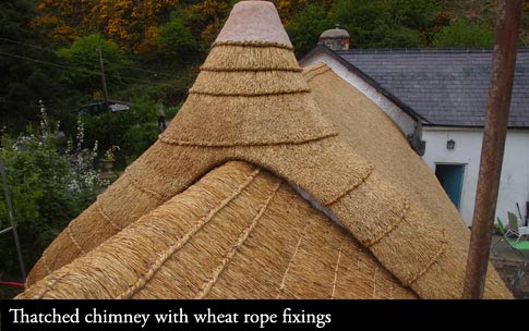 Traditional fixing methods used to hold thatch in place.