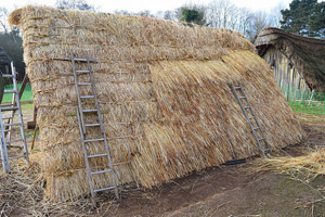Thatch being applied