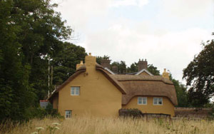 View of thatched long house