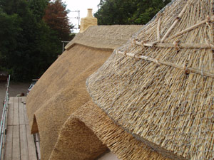 Thatched long house detail