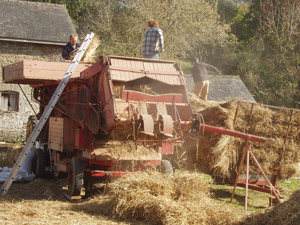 View of thatched long house