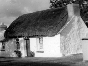 Thatched long house detail