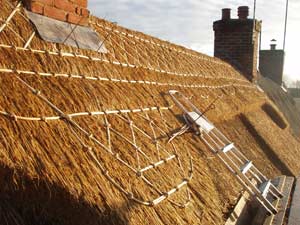 Thatched long house, Wales