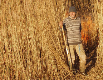 Alan in the reed beds at Newport Pembrokeshire.
