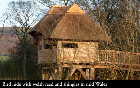 Thatched Bird hide in Brecon, Mid Wales.